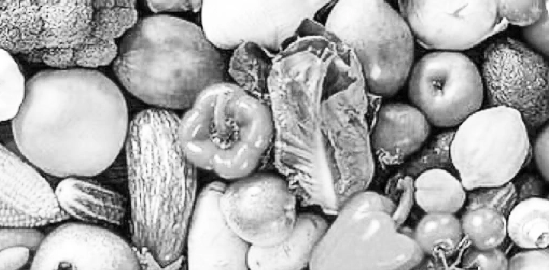 100％オーガニック